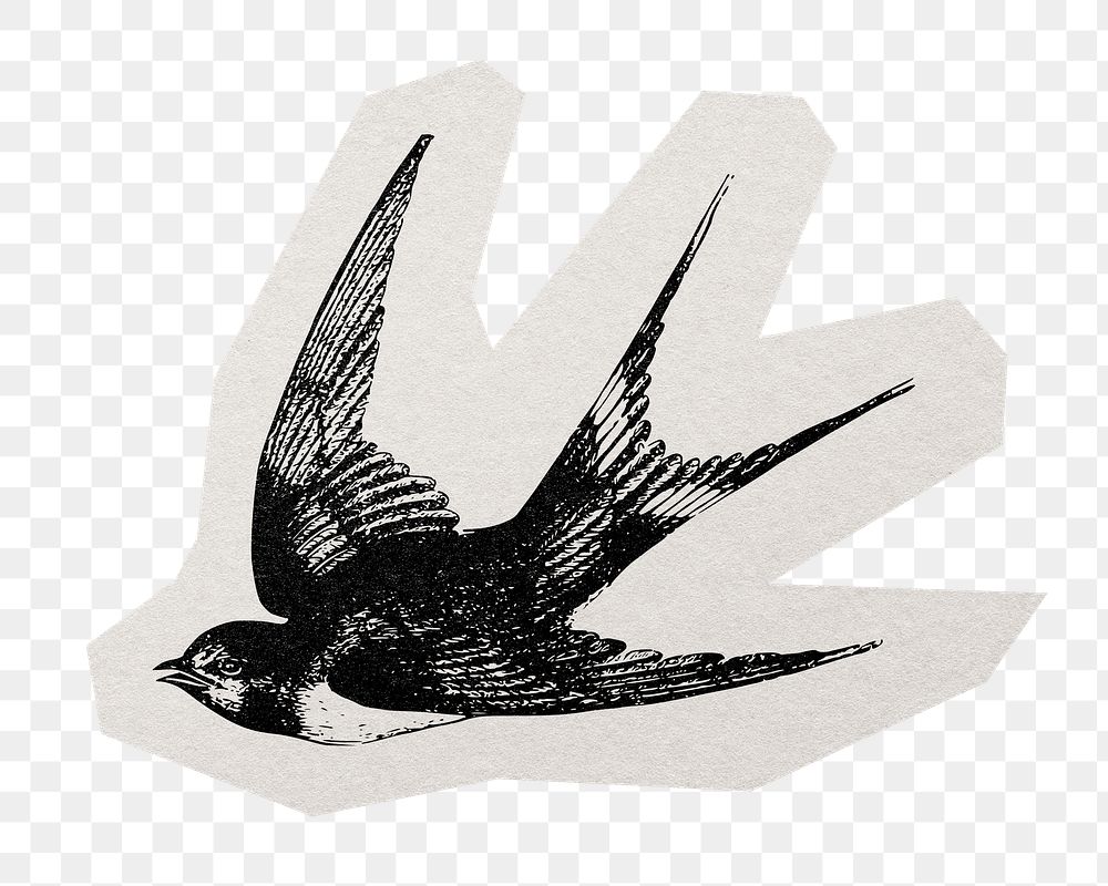 Sparrow bird png sticker, paper cut on transparent background