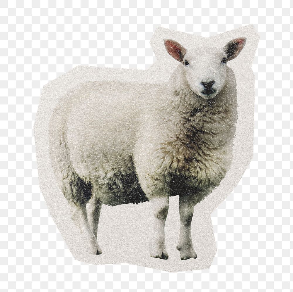 Sheep  png farm sticker, paper cut on transparent background