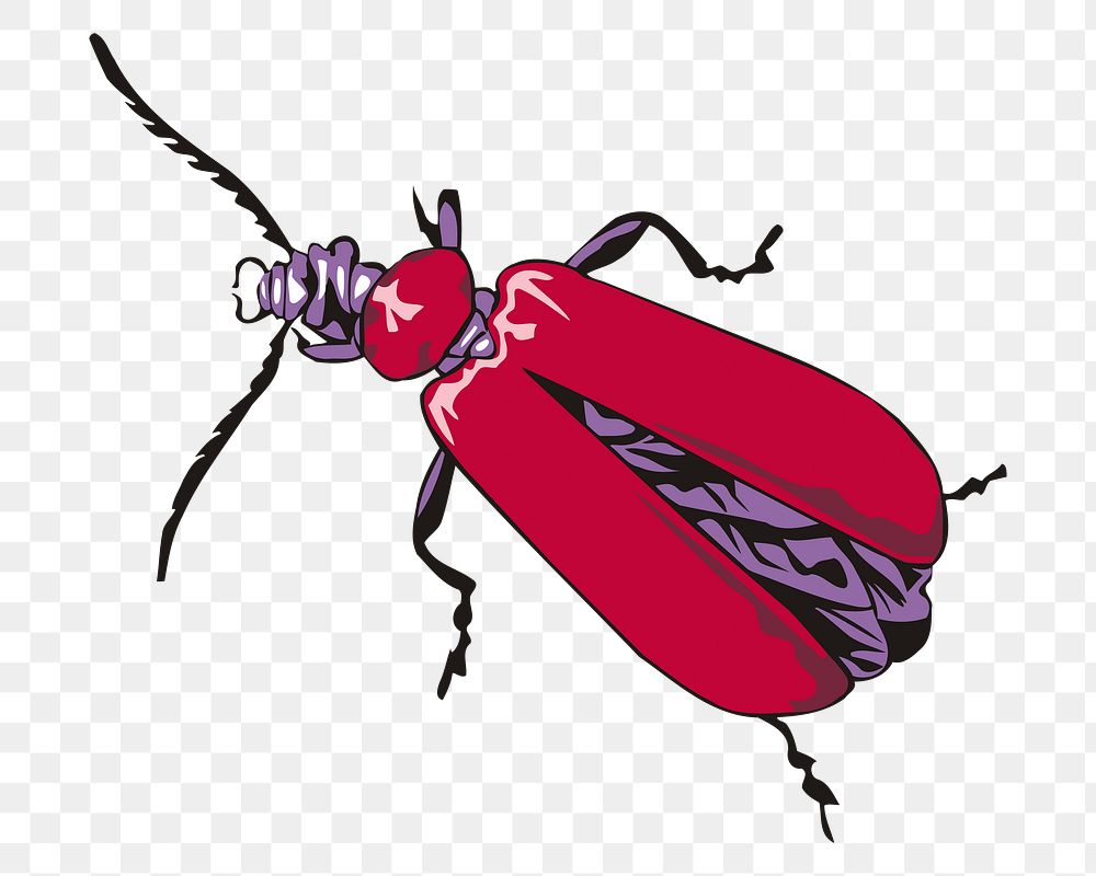 Insect png illustration, transparent background. Free public domain CC0 image.