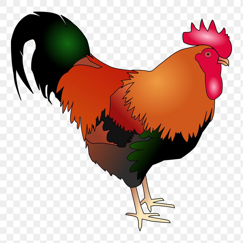 Rooster png illustration, transparent background. Free public domain CC0 image.