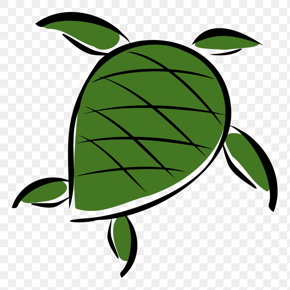 Turtle  png clipart illustration, transparent background. Free public domain CC0 image.