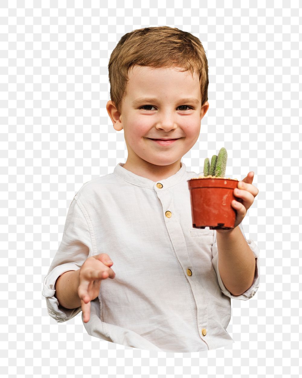 Boy holding plant png, transparent background