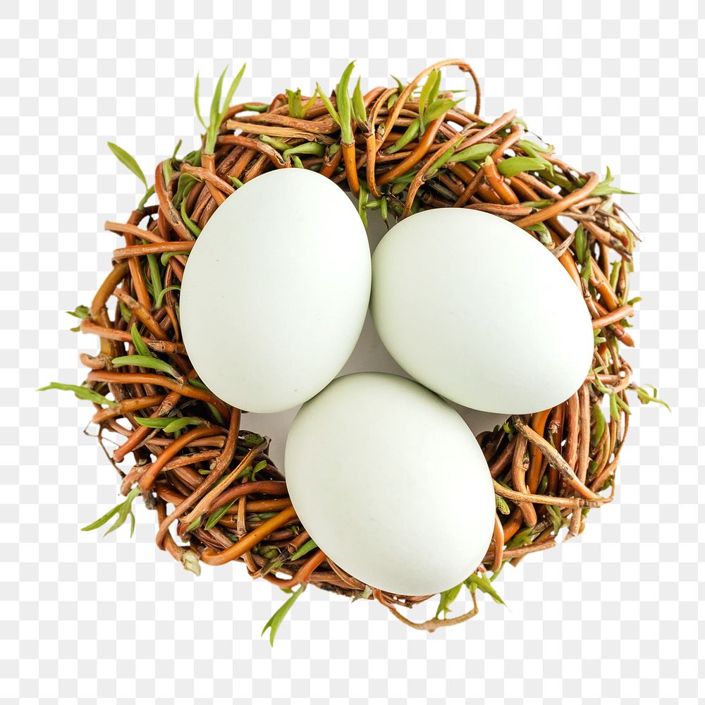 White eggs png, transparent background