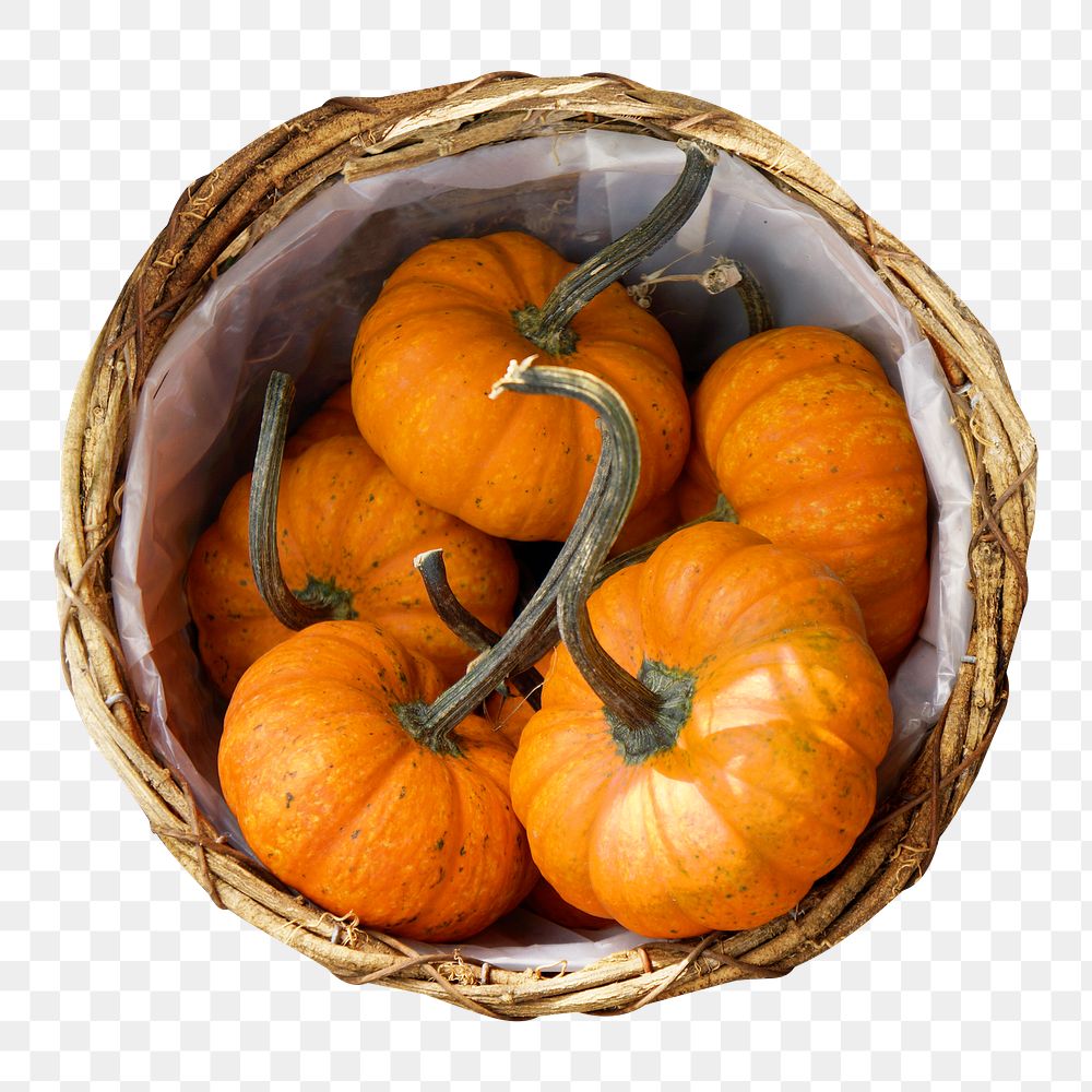 Pumpkins in basket png sticker, transparent background