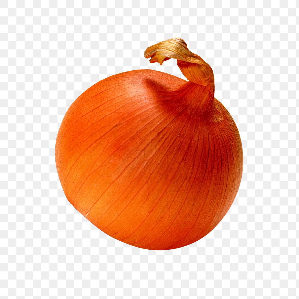 Onion vegetable png, transparent background