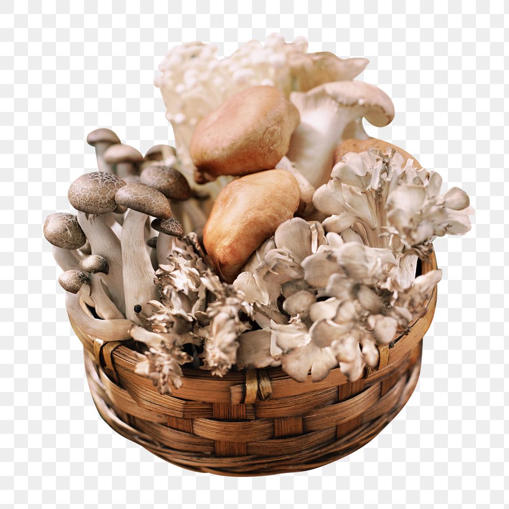 Assorted mushrooms png sticker, transparent background
