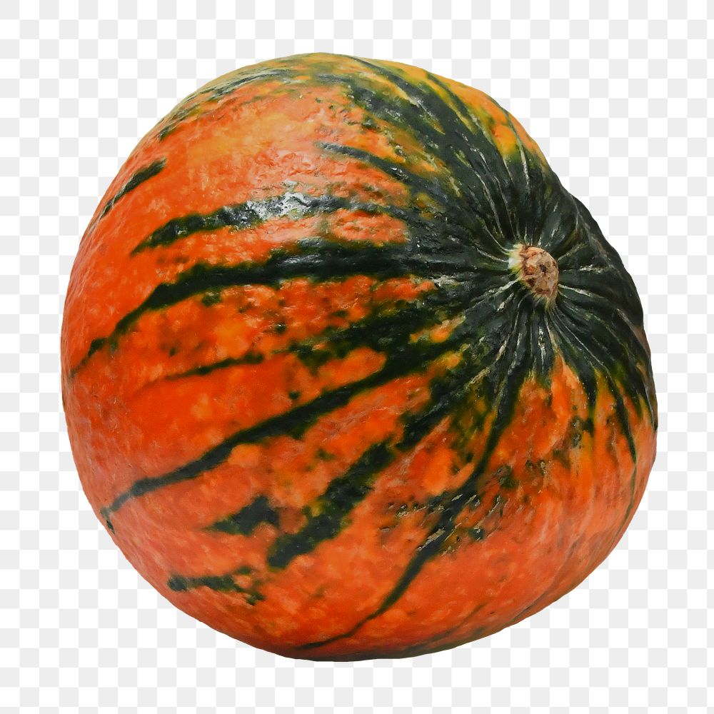 Pumpkin png sticker, transparent background