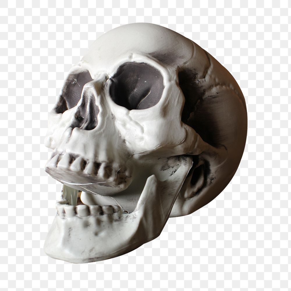 Human skull png Halloween sticker, transparent background