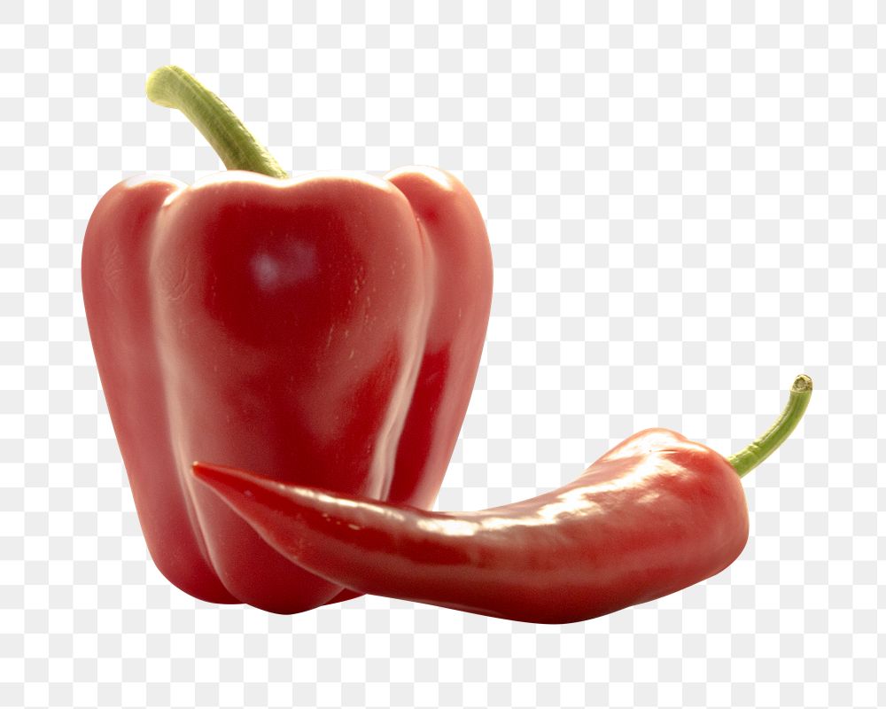 Red chilli pepper png, transparent background