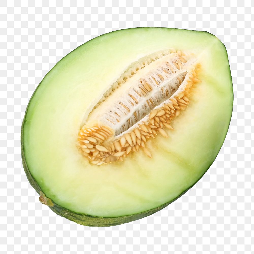Green melon fruit png sticker, transparent background
