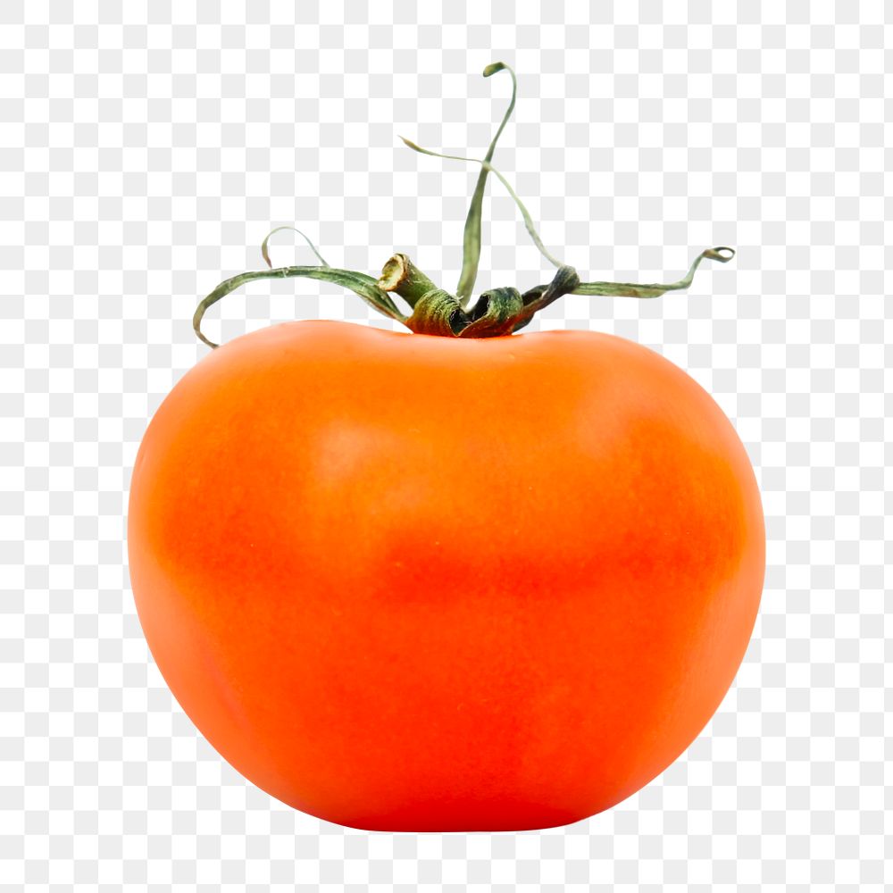 Fresh tomato png sticker, transparent background