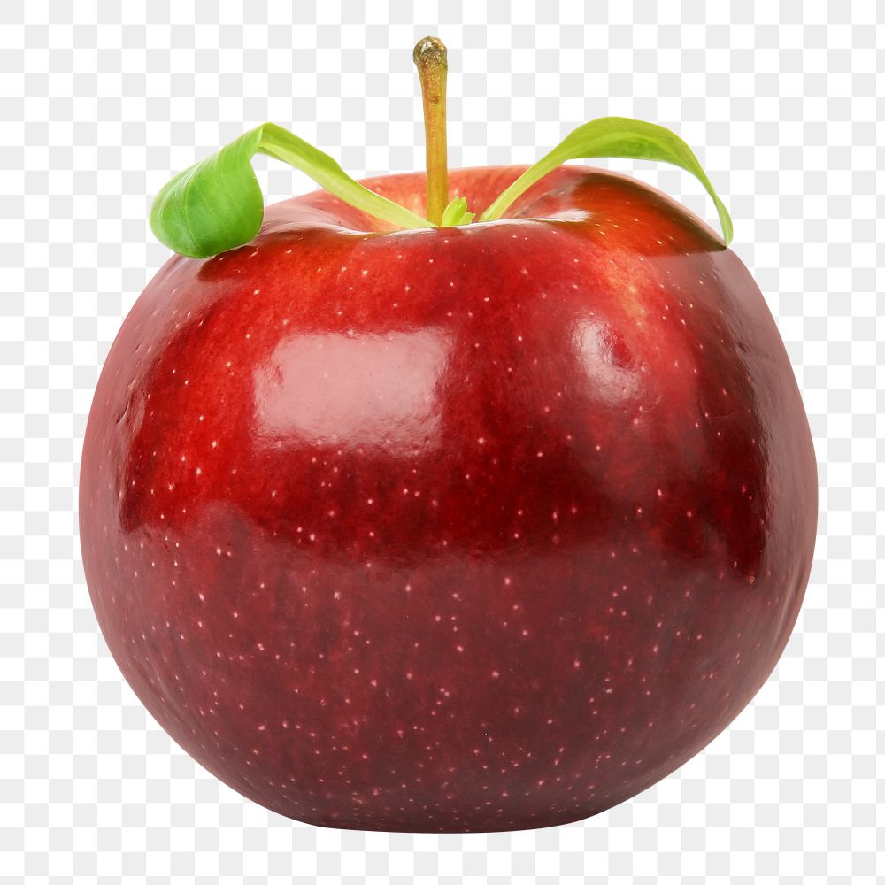 Apple fruit png sticker, transparent background