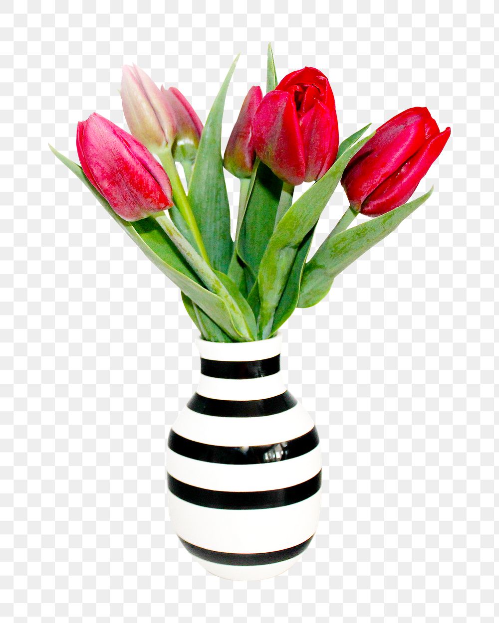 Red tulip vase png, transparent background