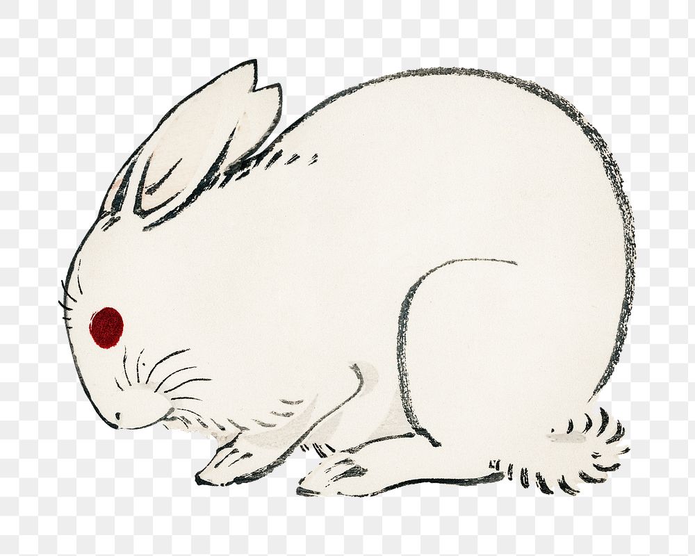 White rabbit png sticker, vintage animal illustration transparent background. Remixed by rawpixel.