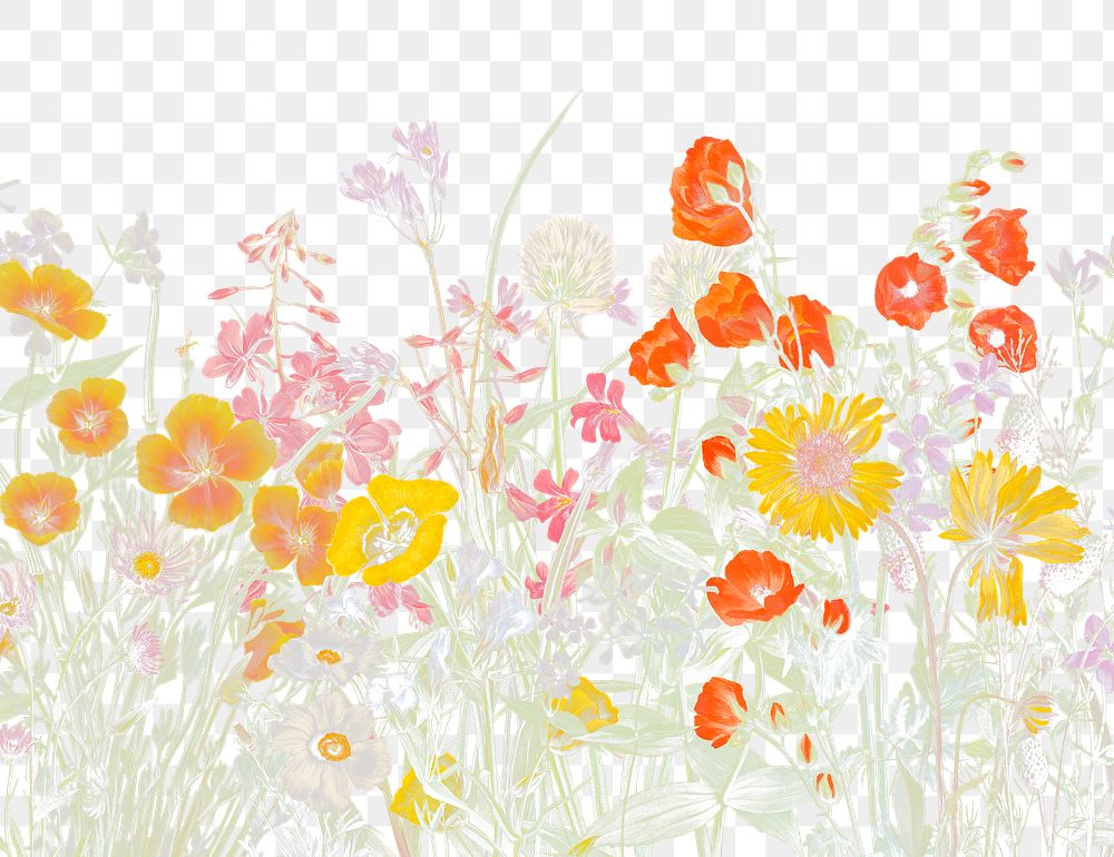 Vintage flower png Spring botanical sticker, transparent background