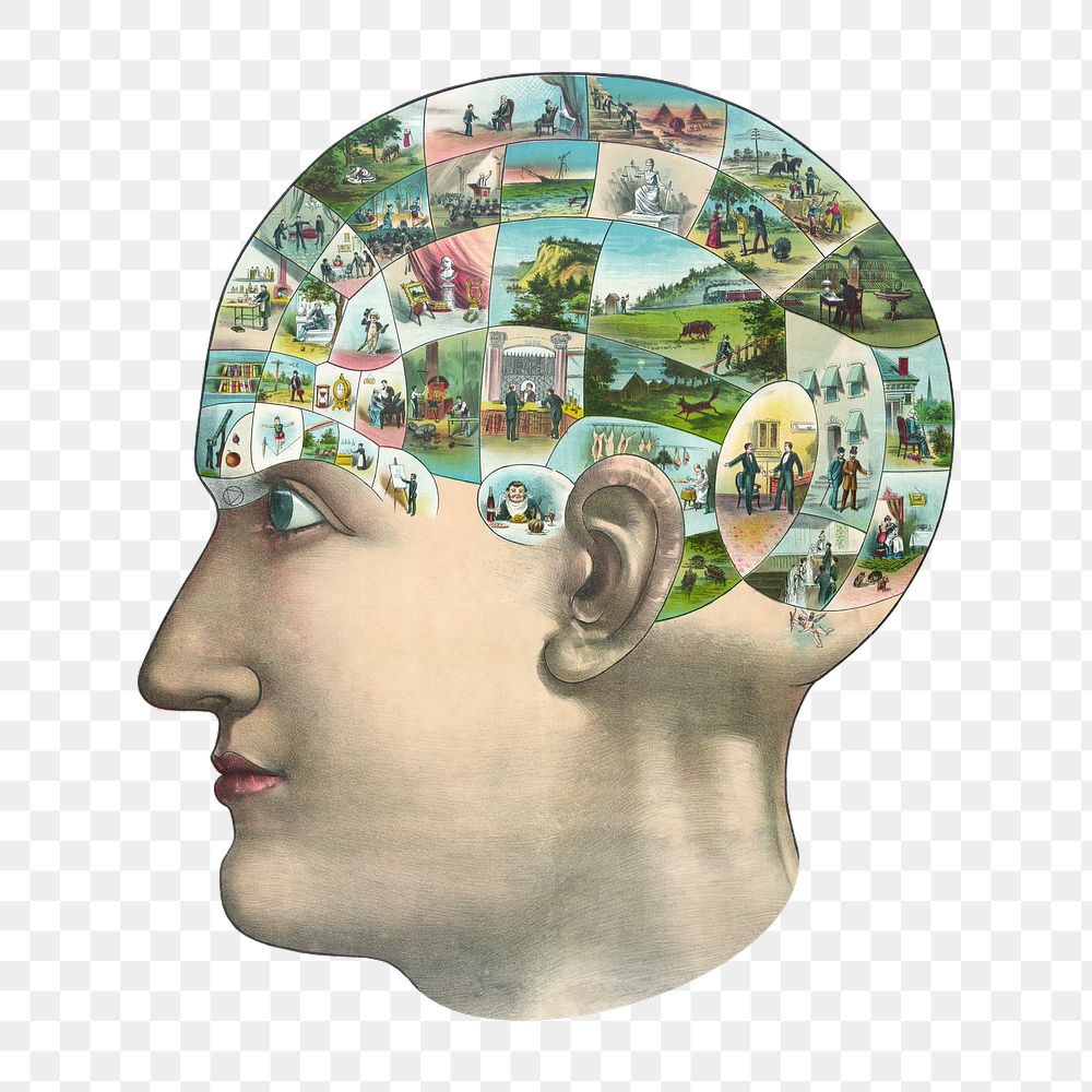Human mind png sticker, transparent background