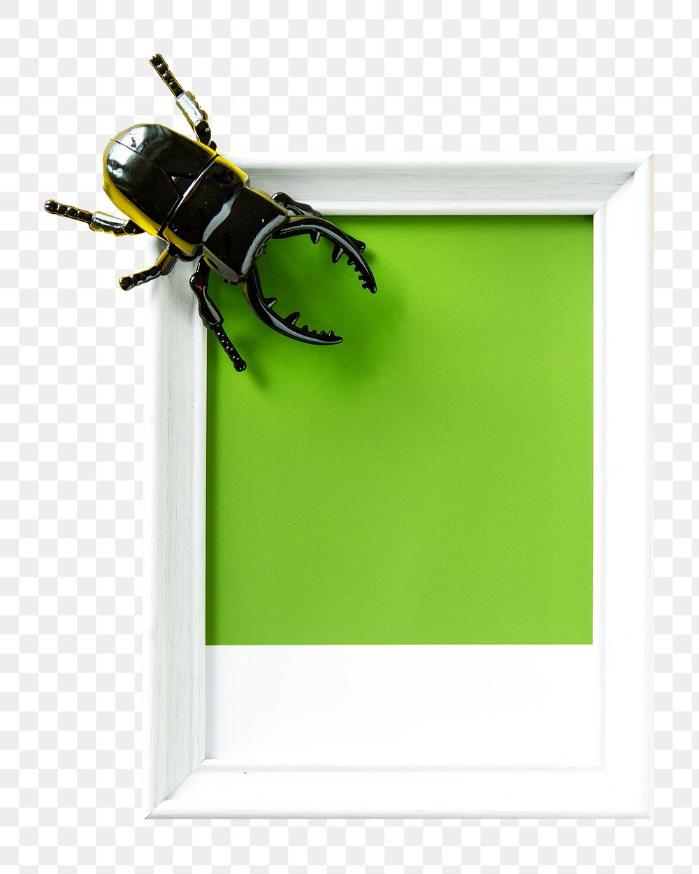 Frame png, winged beetle toy transparent background