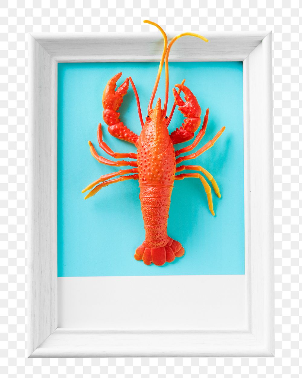 PNG Lobster seafood toy on a frame, collage element, transparent background
