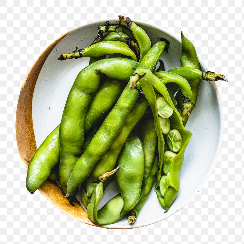 Legumes bean png sticker, transparent background