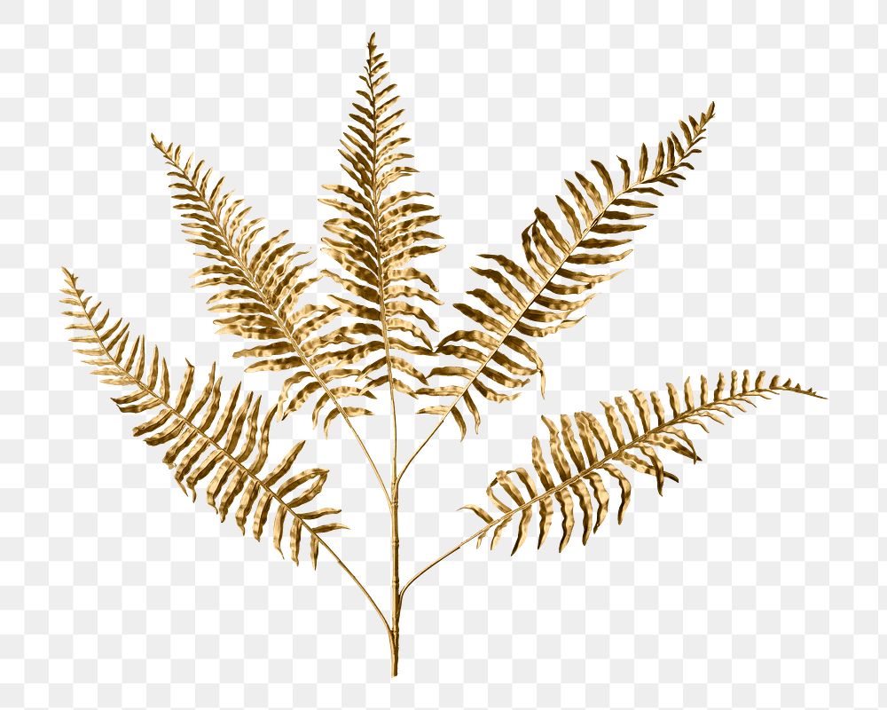 Gold fern leaf png sticker, botanical, transparent background