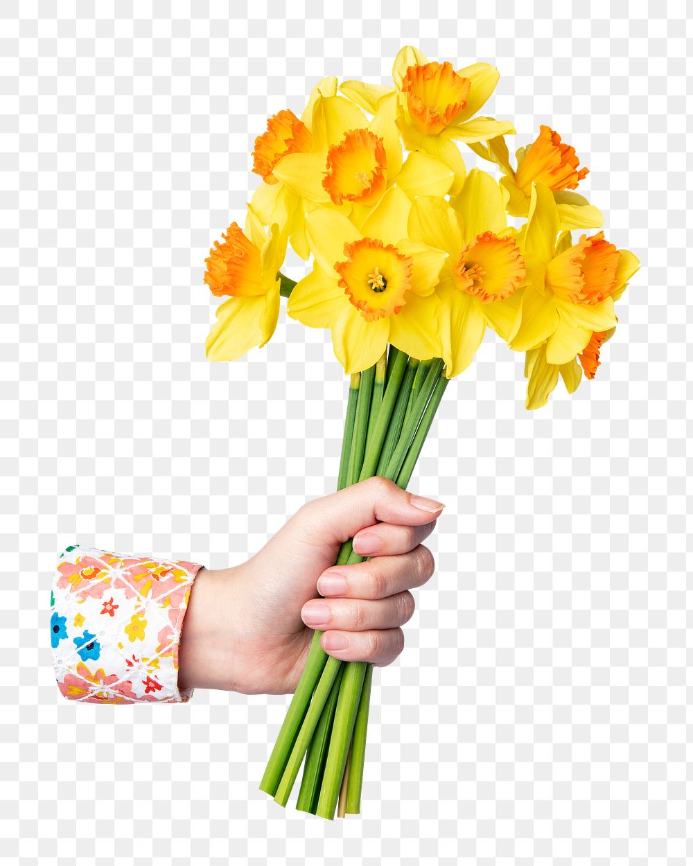Daffodil bouquet png sticker, botanical, transparent background