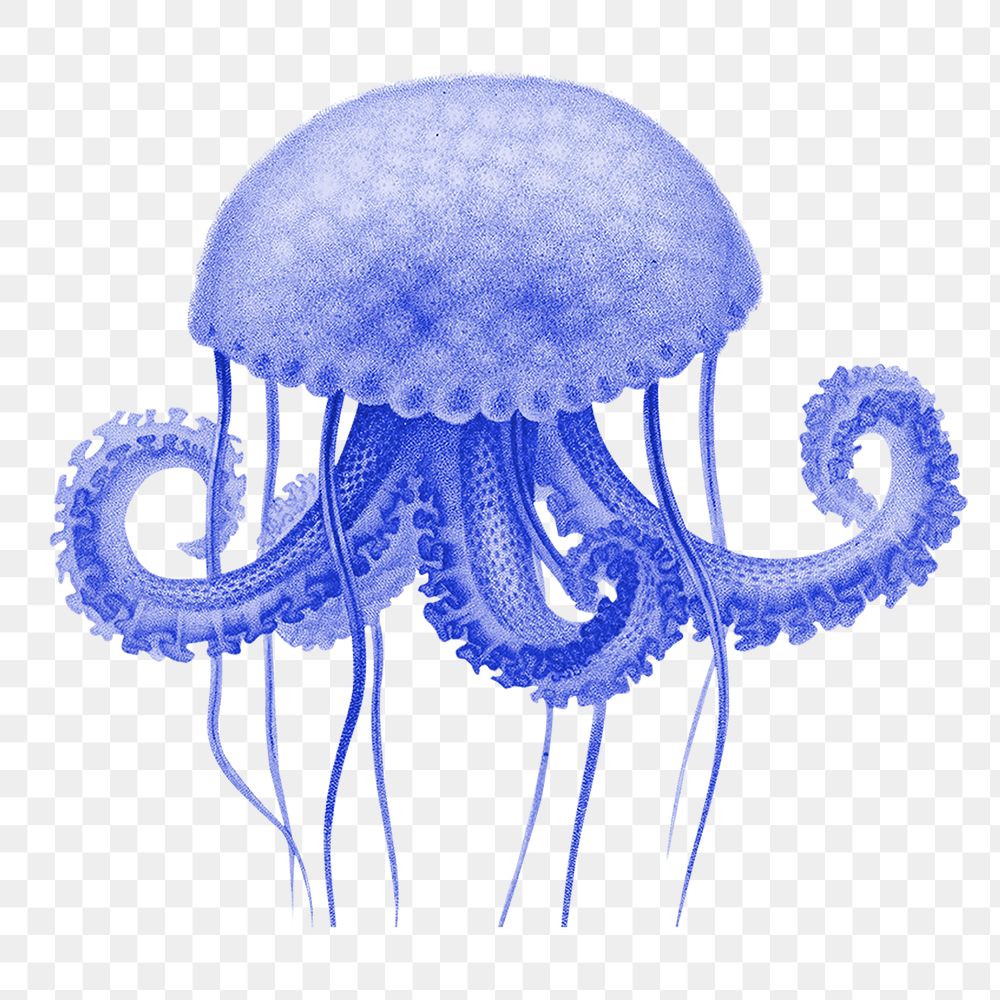 Blue jellyfish png sticker, transparent background