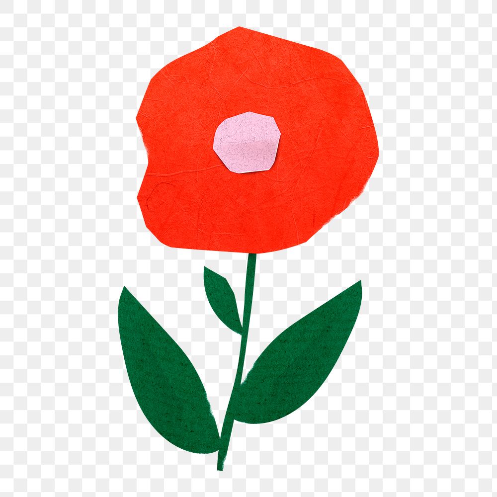 Red poppy flower png sticker, transparent background