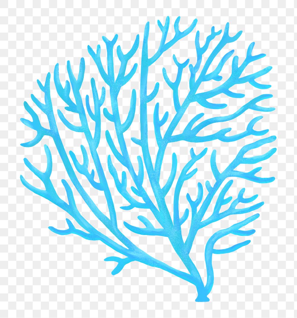 Blue coral png sticker, nature illustration, transparent background