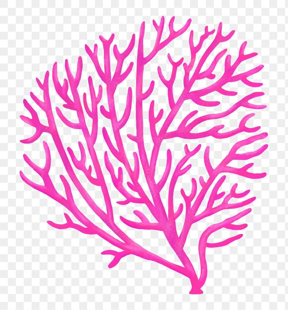 Pink coral png sticker, nature illustration, transparent background