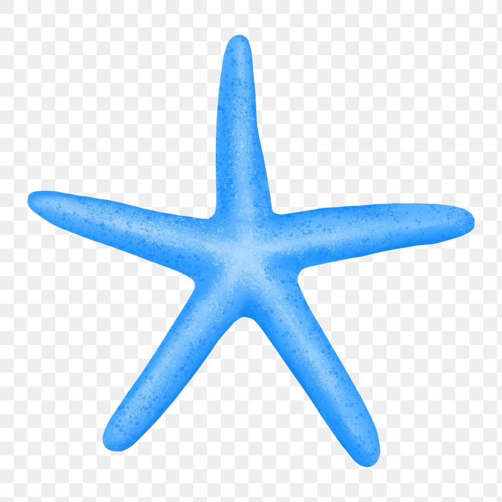 Blue starfish png sticker, animal illustration, transparent background