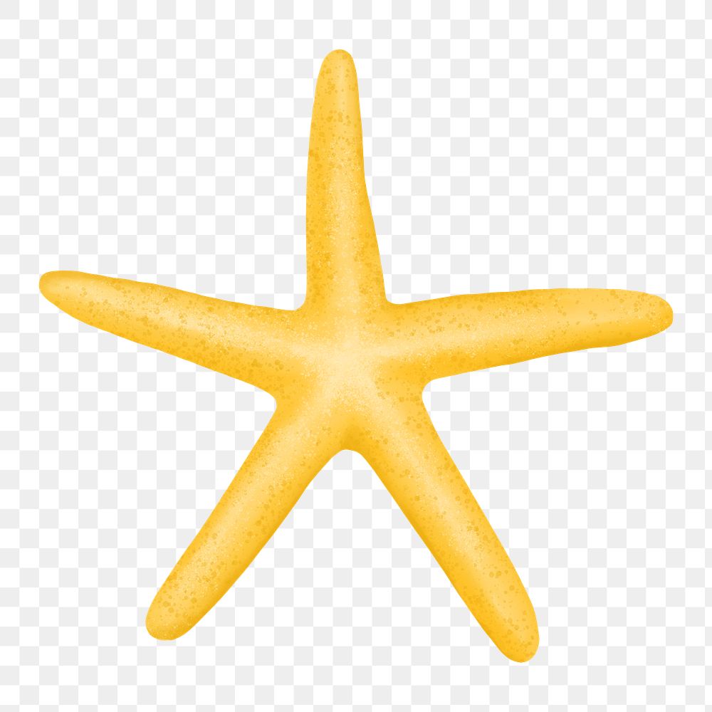 Yellow starfish png sticker, animal illustration, transparent background