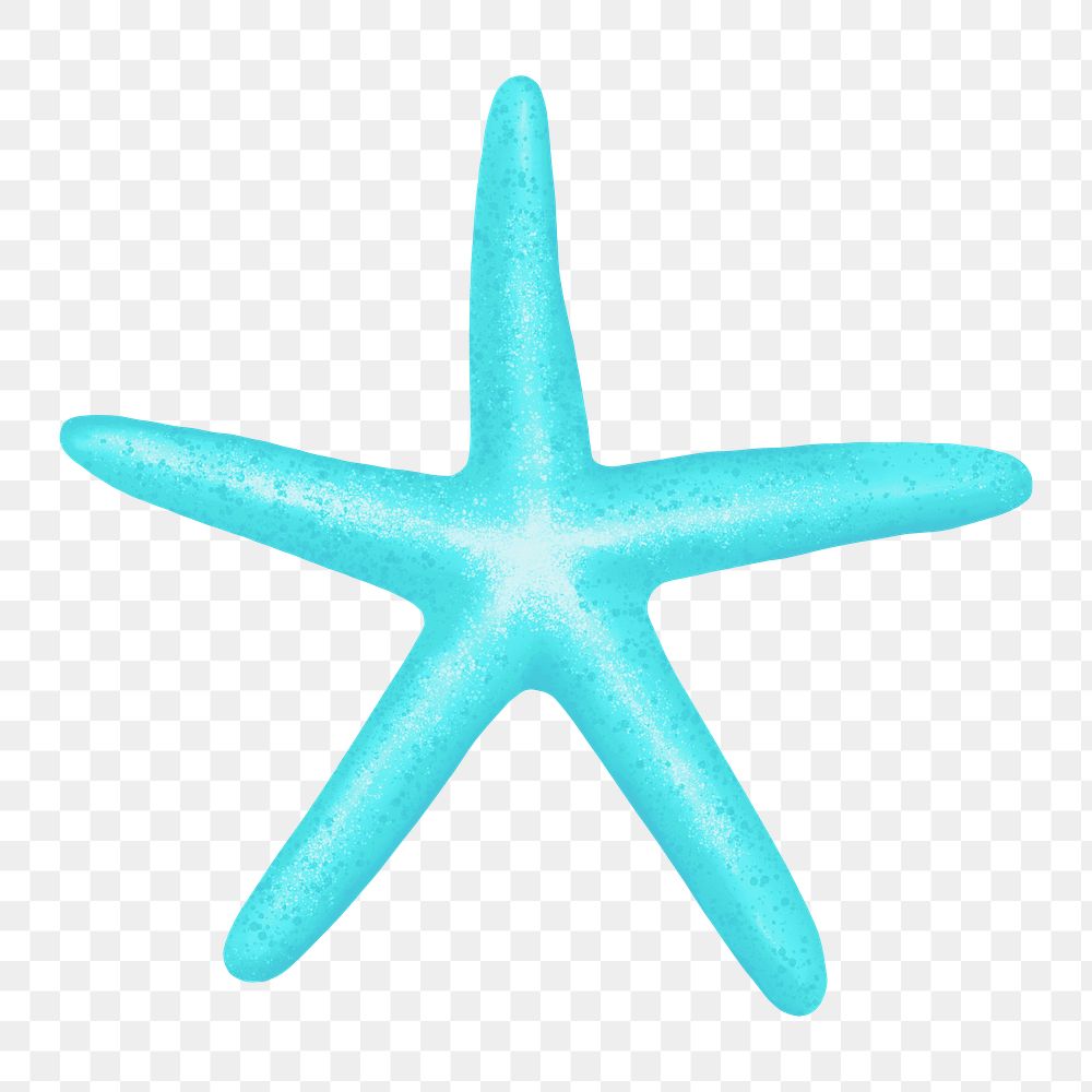 Turquoise starfish png sticker, animal illustration, transparent background