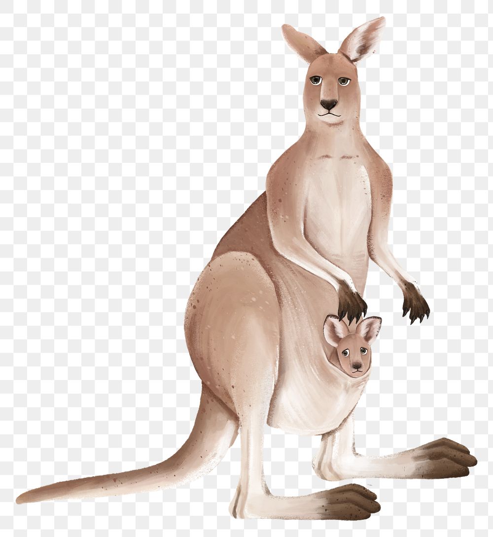 Mother kangaroo png sticker, animal illustration, transparent background