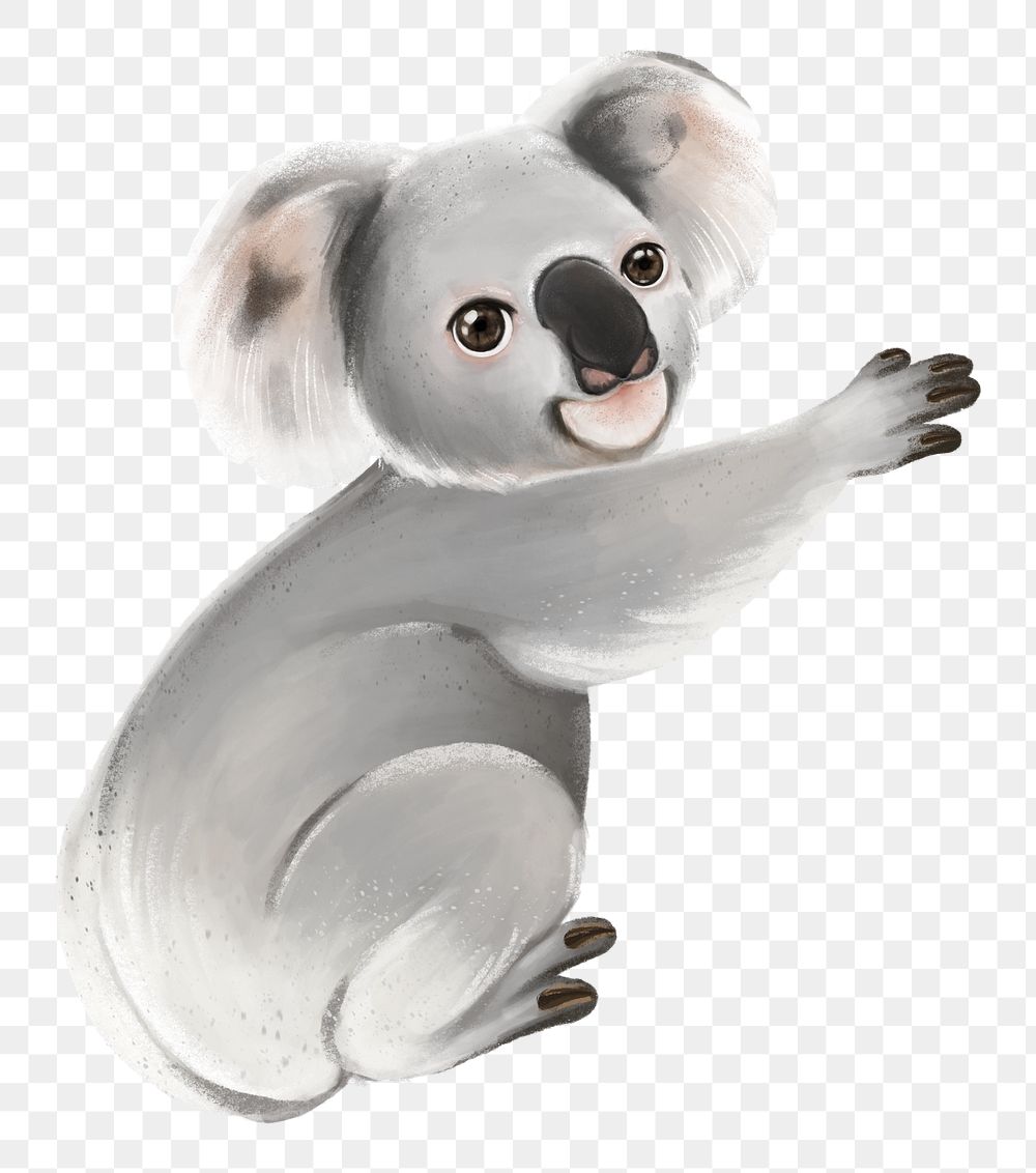 Koala bear png sticker, animal illustration, transparent background