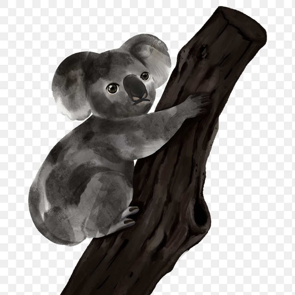 Ashy koala baby png sticker, animal illustration, transparent background