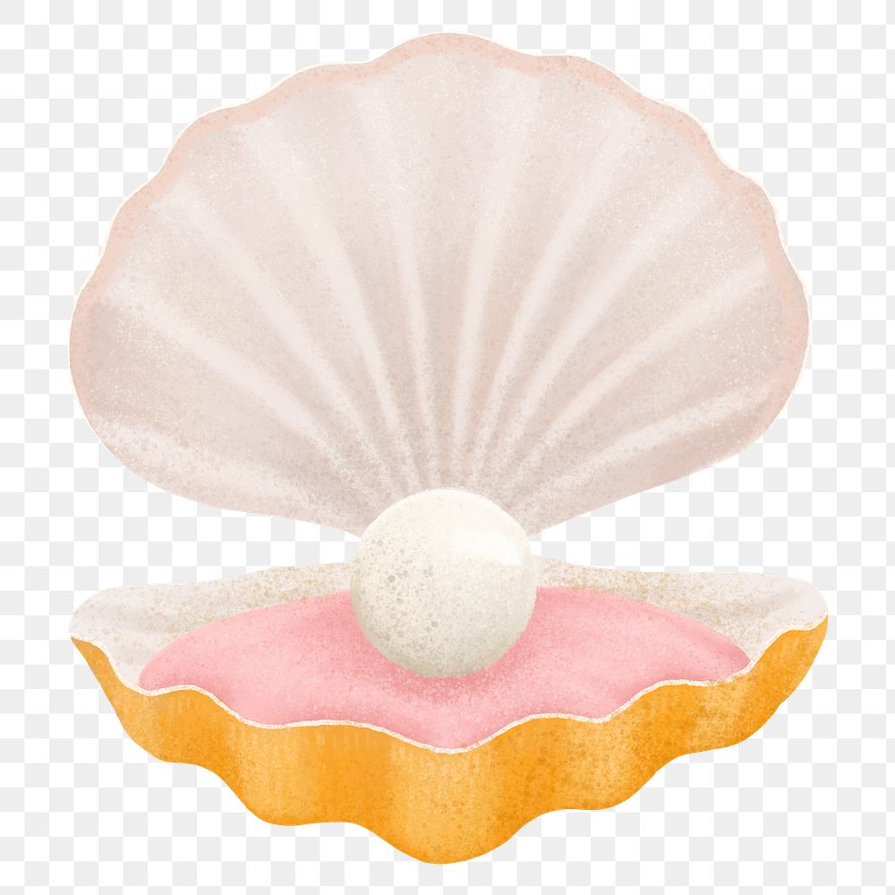 Pearl shell png sticker illustration, transparent background