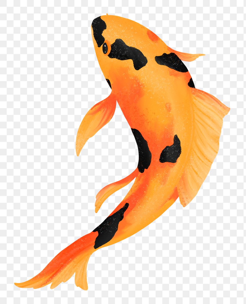 Koi fish png sticker, animal illustration, transparent background