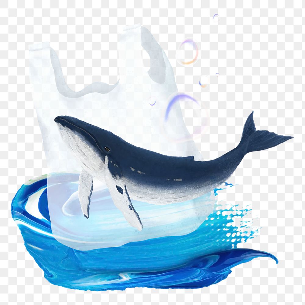 Ocean plastic pollution png sticker, animal illustration, transparent background