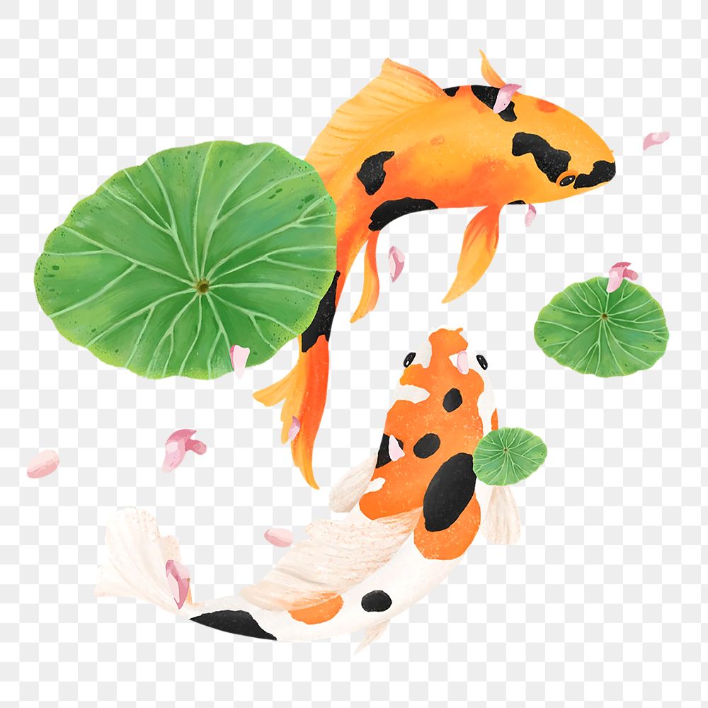 Koi fish png sticker, animal illustration, transparent background