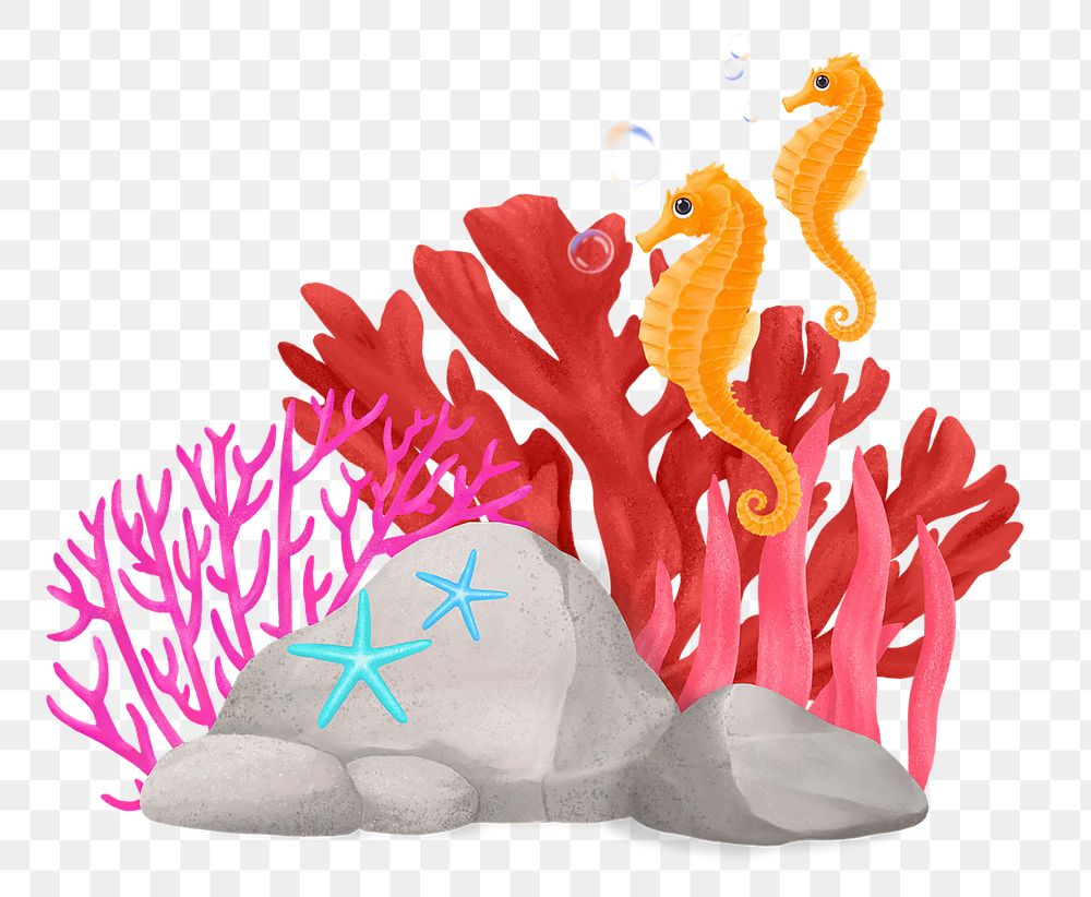 Coral reef png sticker, animal illustration, transparent background