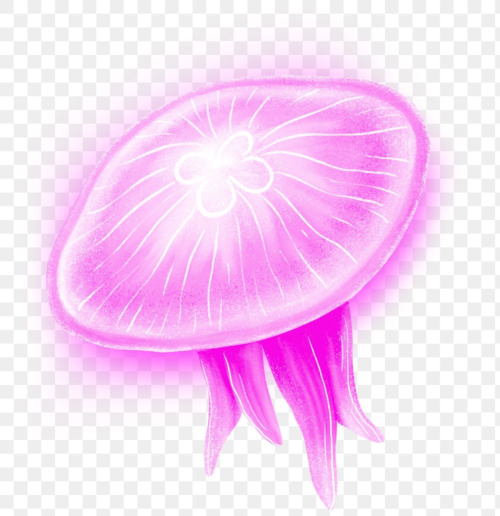 Neon pink jellyfish png sticker, animal illustration, transparent background