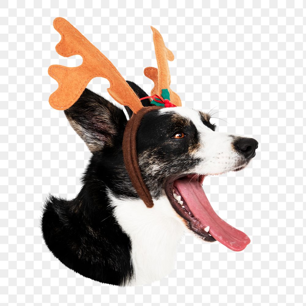 Png dog wearing antlers sticker, transparent background