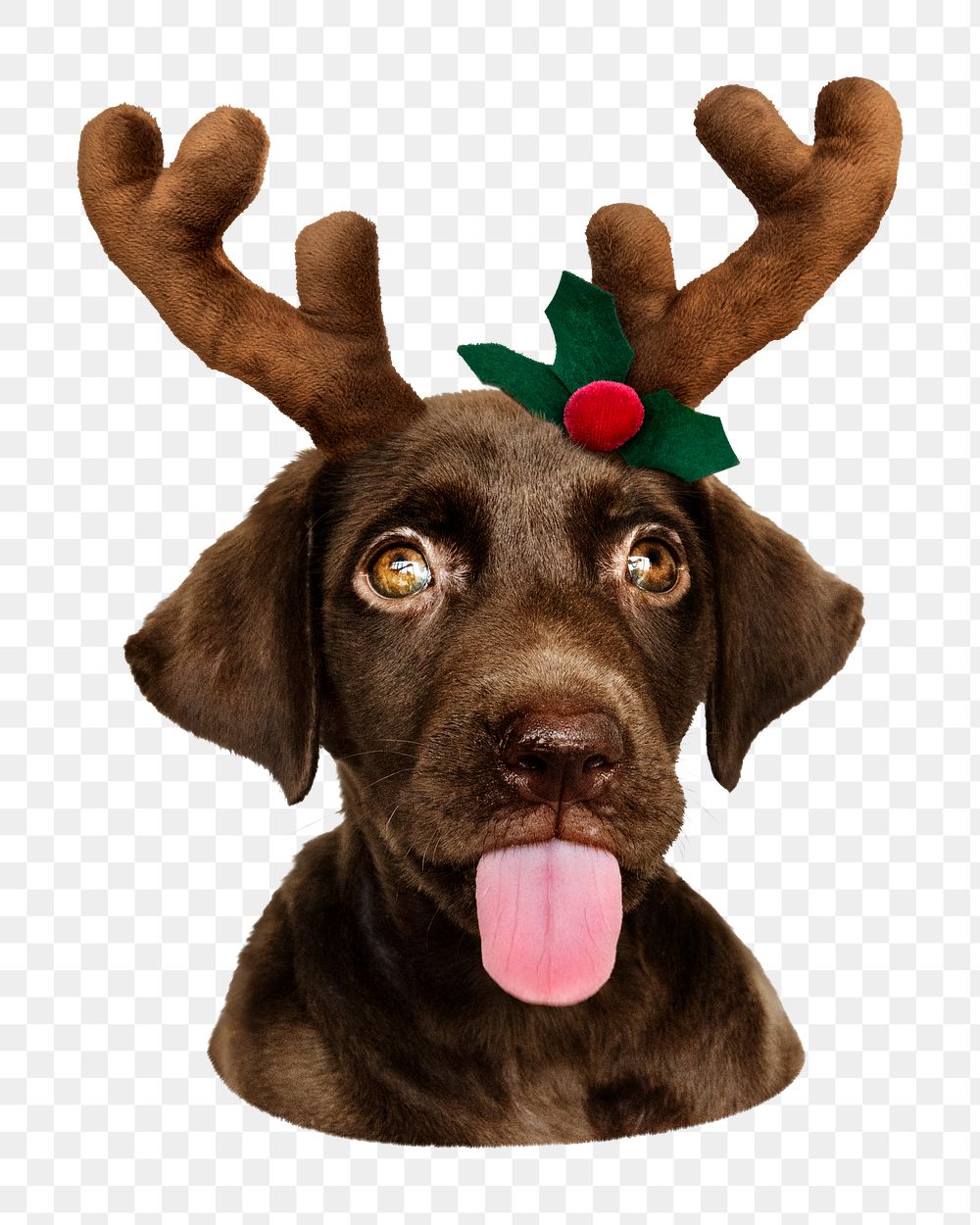 Puppy with Christmas headband png sticker, transparent background