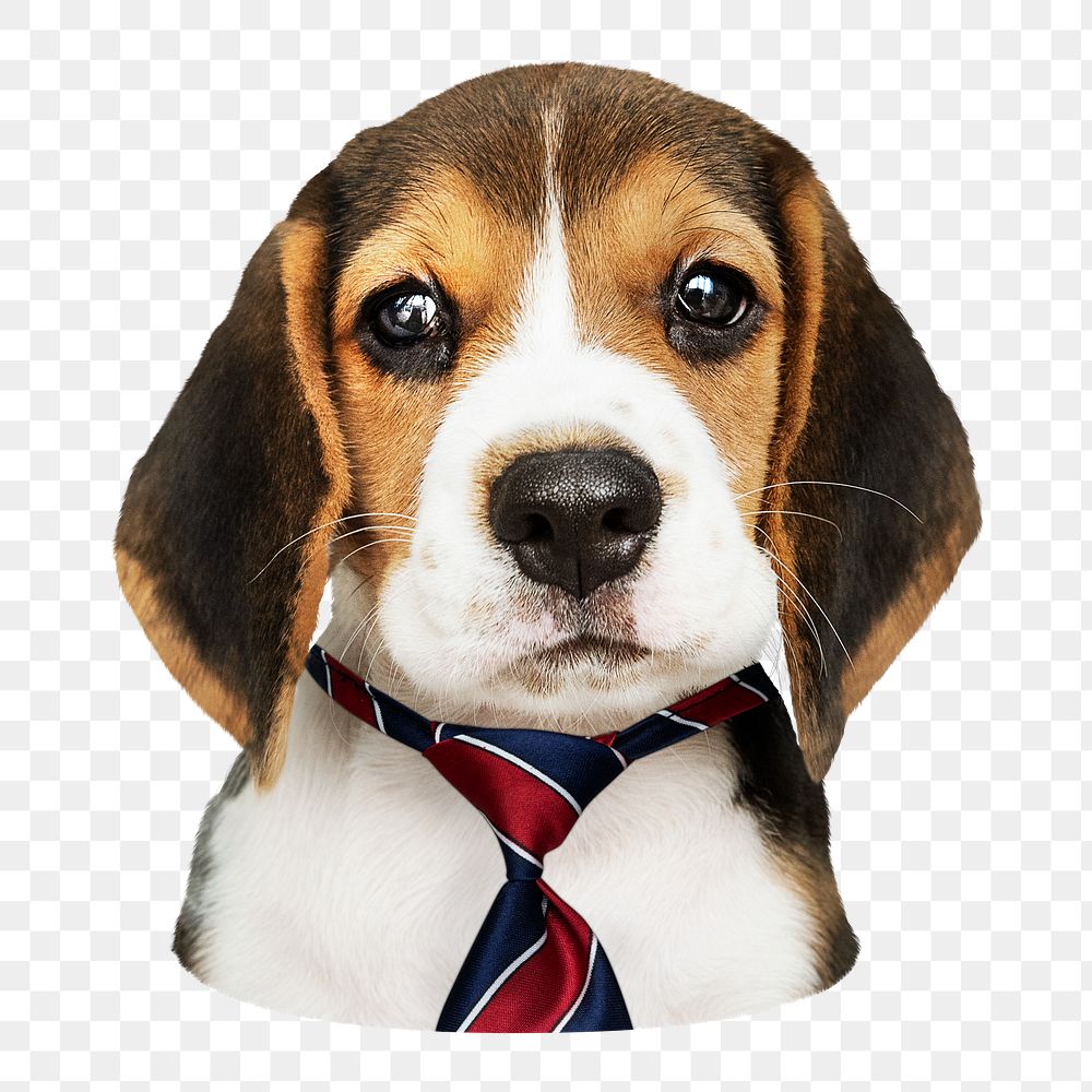 Png cute puppy wearing necktie sticker, transparent background