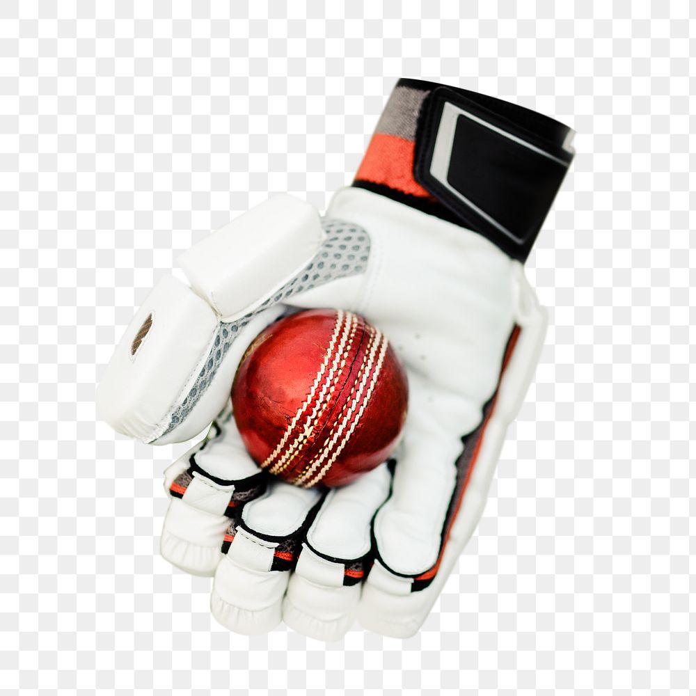 Png cricket player hand sticker, transparent background