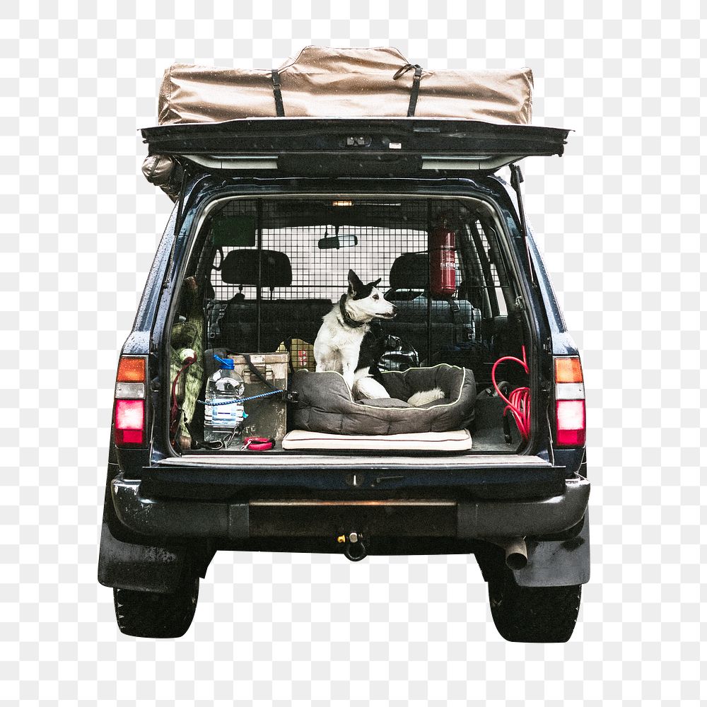 Png road trip with dog sticker, transparent background