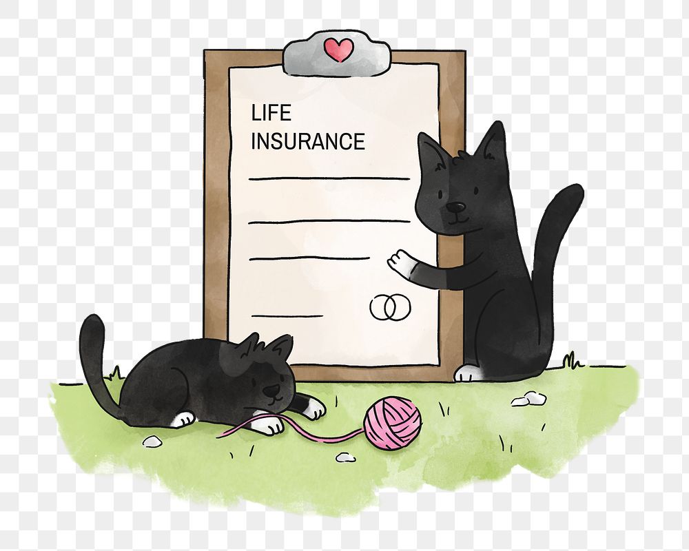 PNG Cats life insurance, illustration, collage element, transparent background