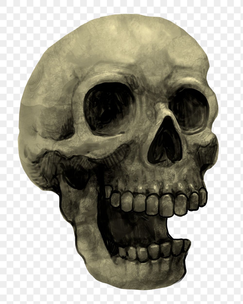 Skull png illustration, transparent background