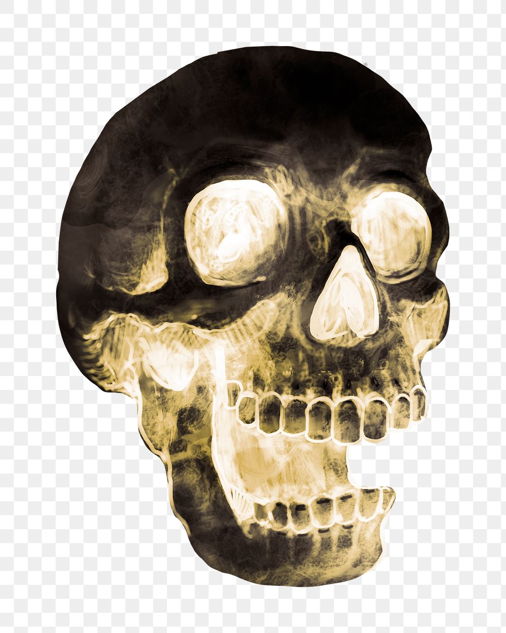 Skull png illustration, transparent background