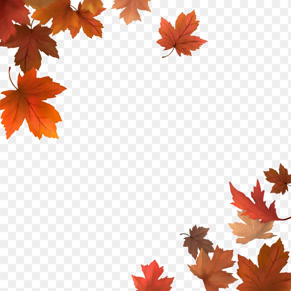 Maple leaf png border, transparent background